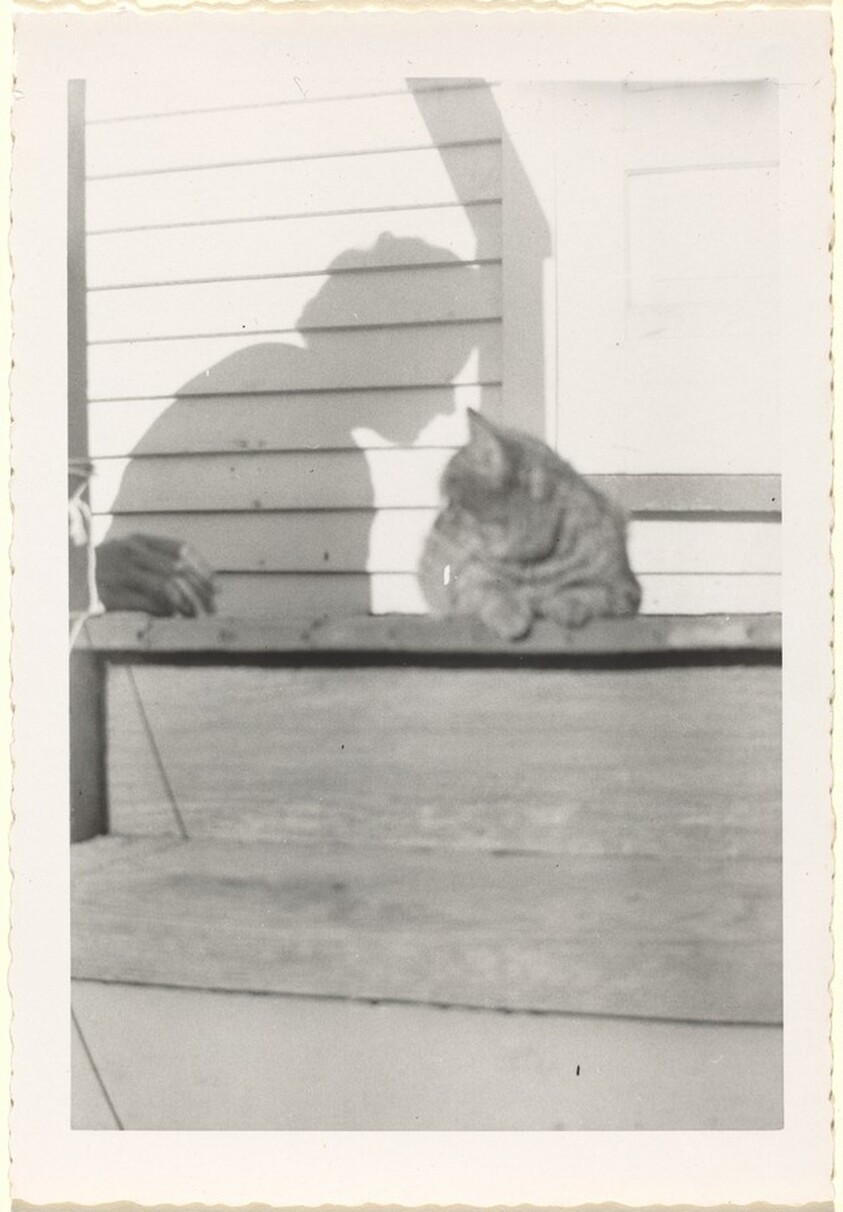 "Cookie Nov. 1952, about 4 mos. old"