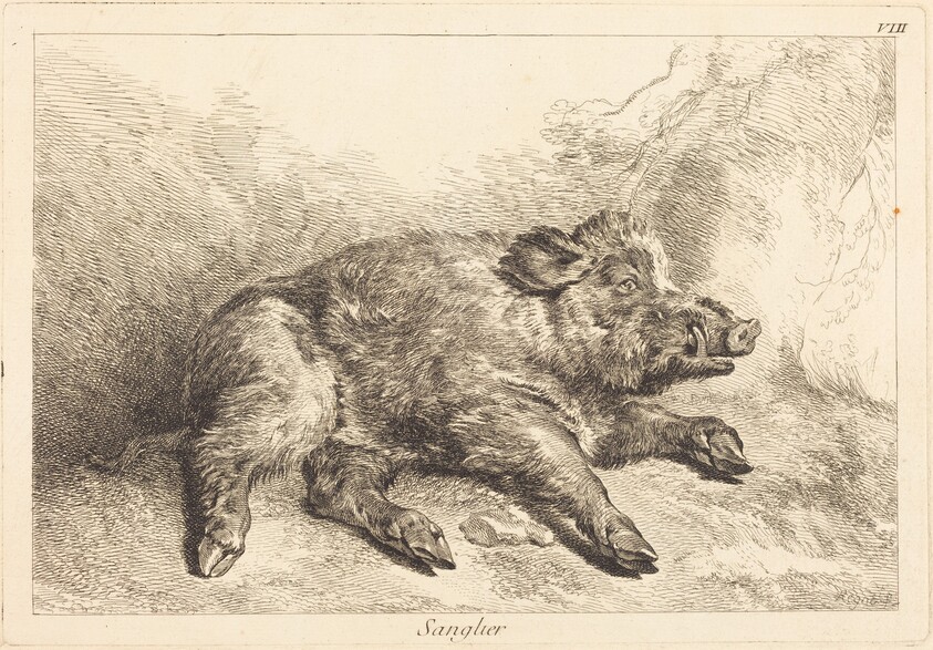 Sanglier (Wild Boar Lying Down, Head to the Right)