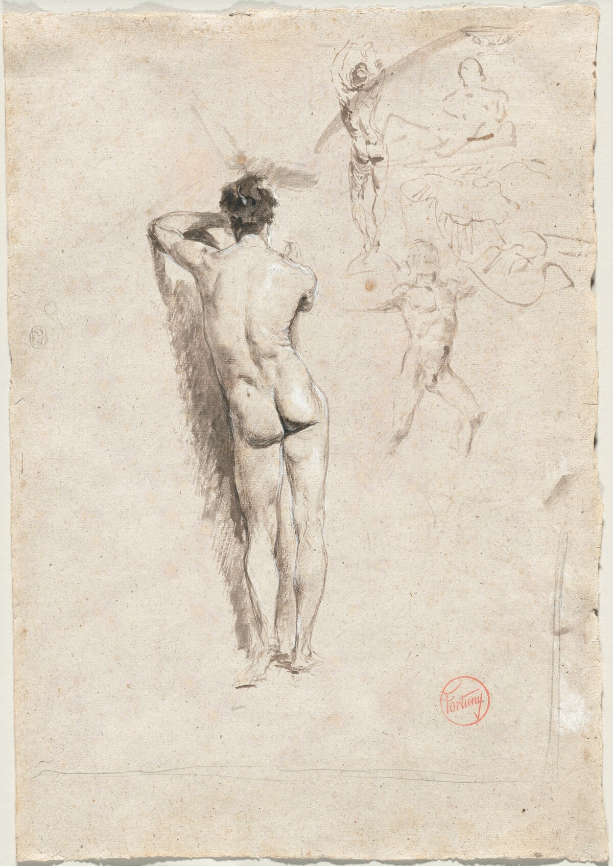 Study of a Male Nude and Other Studies
