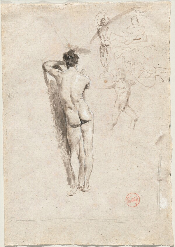 Study of a Male Nude and Other Studies