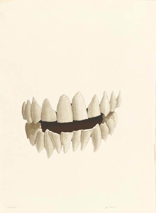 This is a drawing of a set of teeth. The drawing depicts the upper jawline with a focus on the front portion of the teeth. The teeth are rendered in a realistic style with a beige tone. The teeth are against a white background. The drawing uses lines and shading to emphasize the structure and contours of the teeth while leaving the surrounding space unadorned.