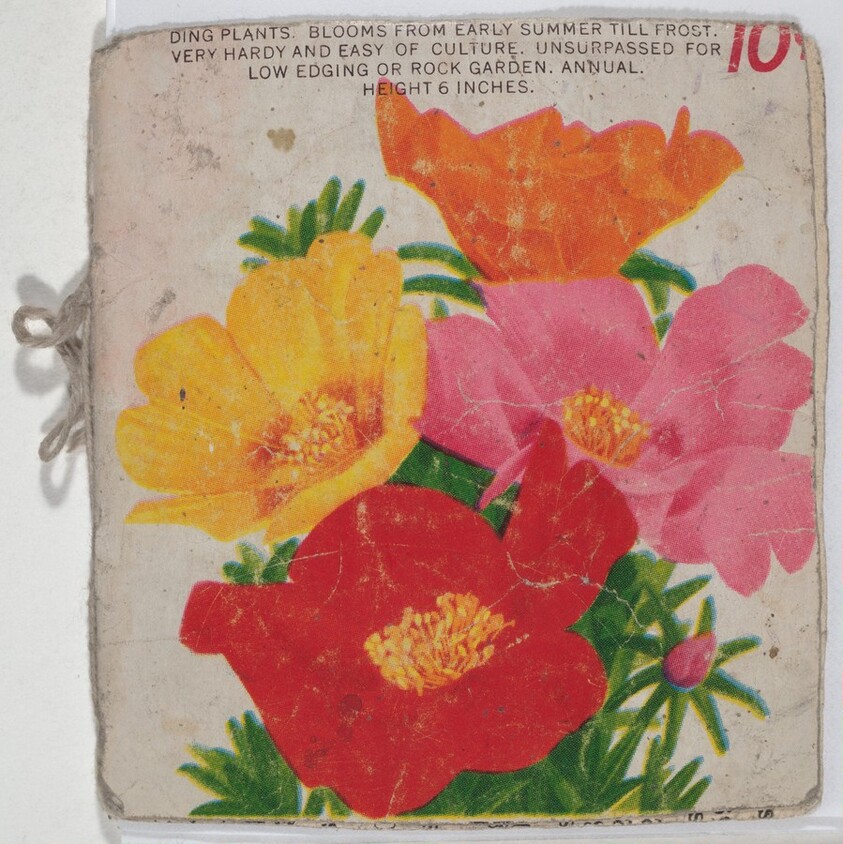 Untitled (Moss Rose Seeds Book)