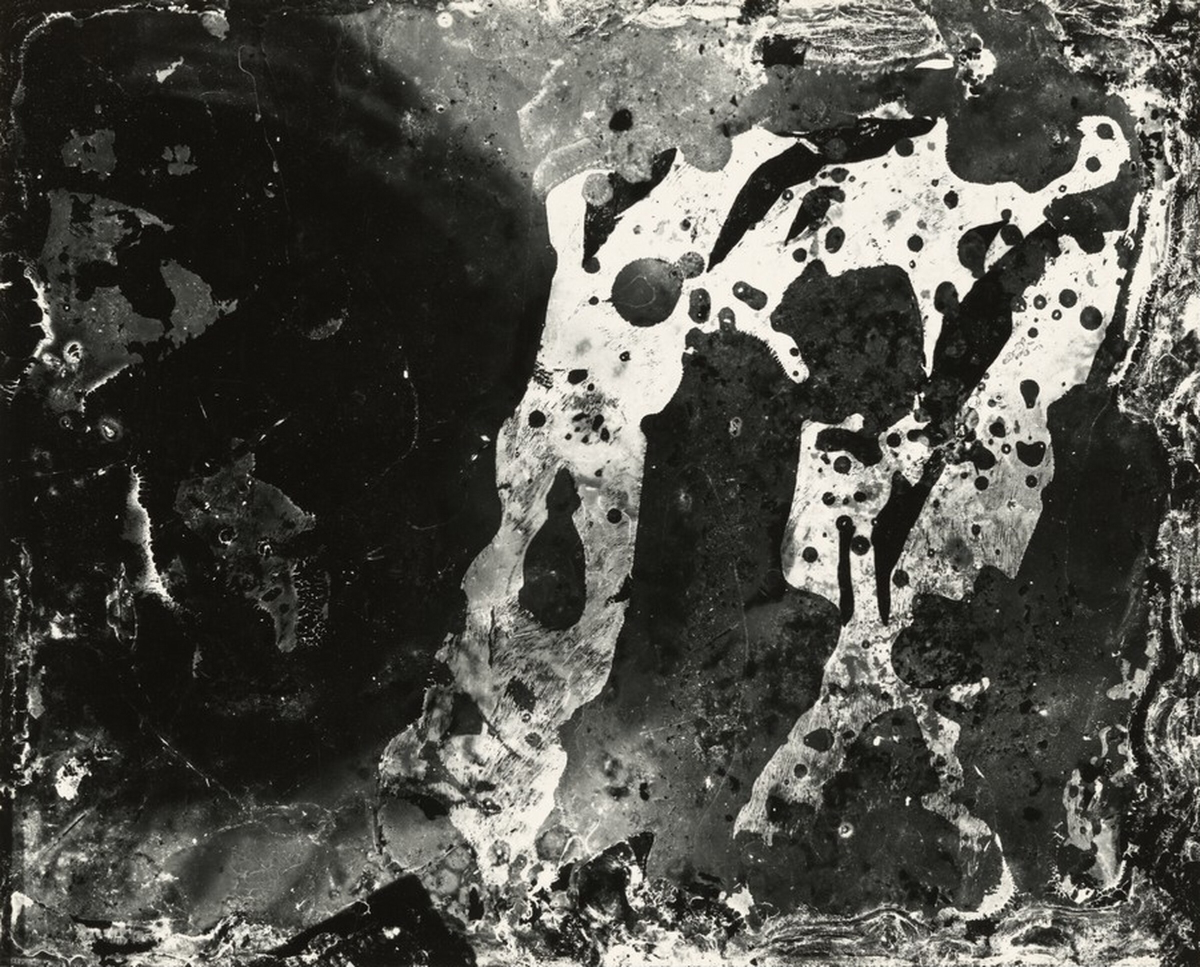Found Negative, Frederick Sommer, 1948