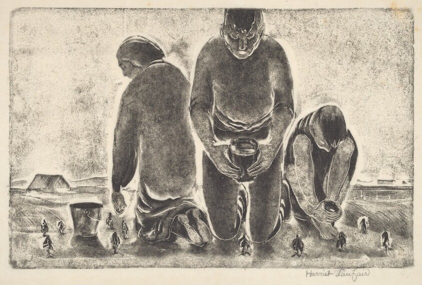 Untitled (Parched Crops)