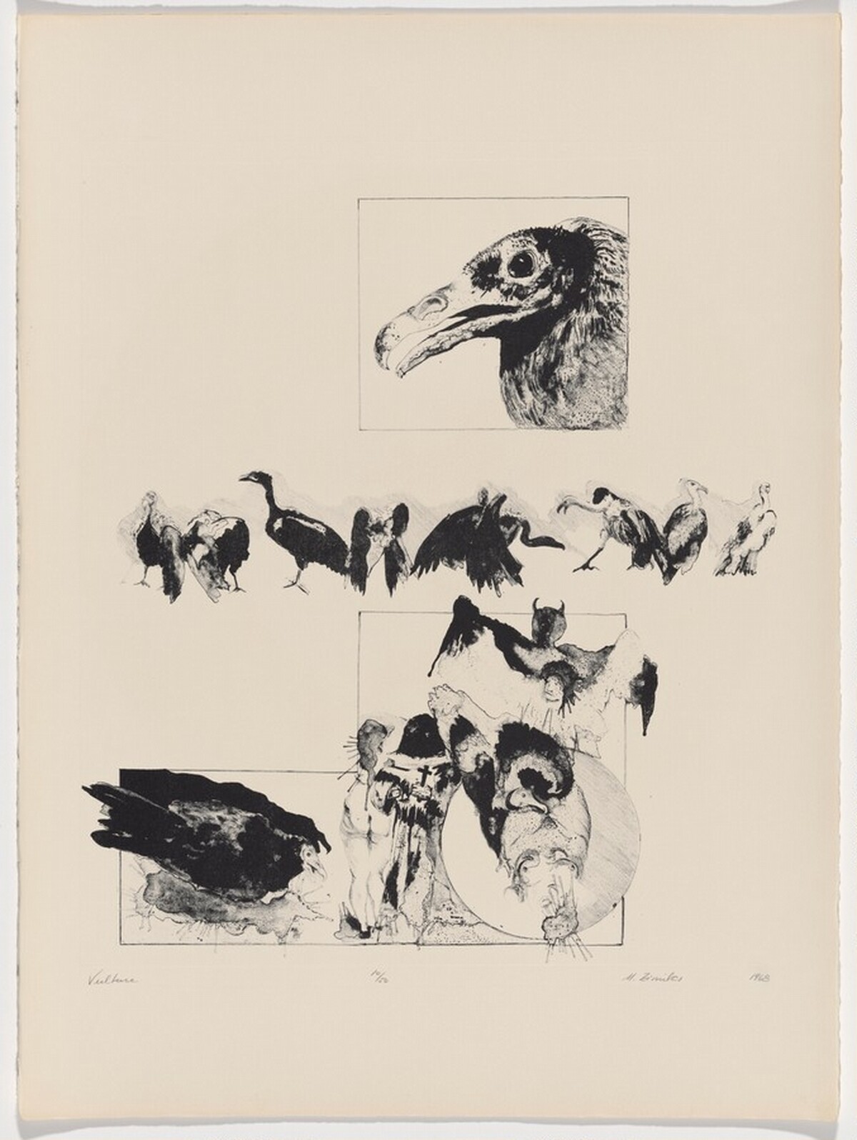 Vulture