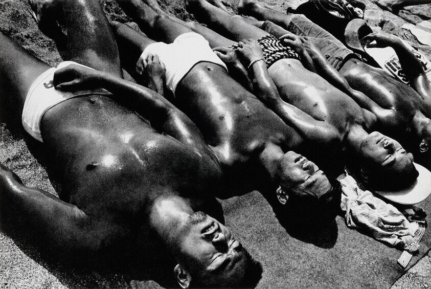 Early Summer for the Young, Hayama, Japan