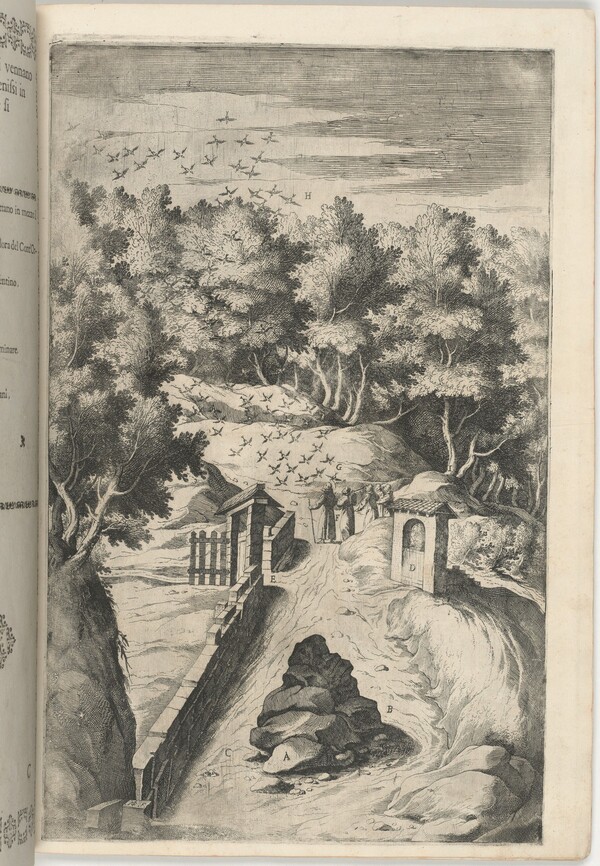 The Salutation of the Birds (Il Saluto degli uccelli) [plate C]