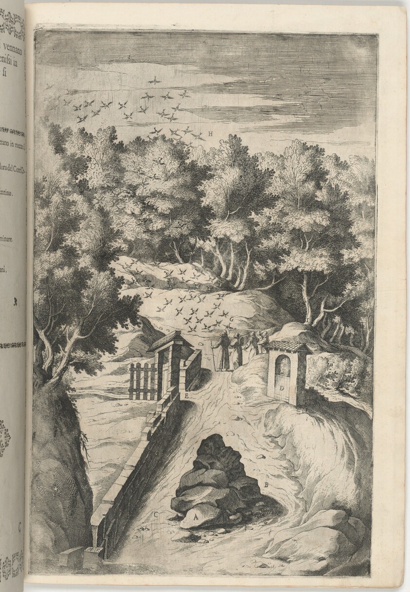 The Salutation of the Birds (Il Saluto degli uccelli) [plate C]