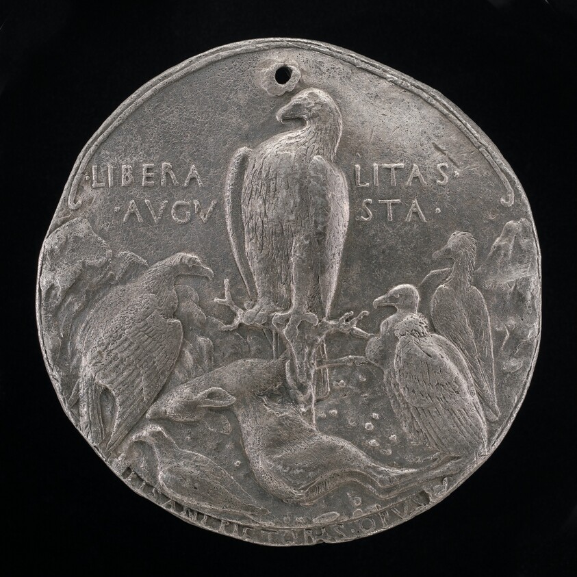 Eagle and Lesser Birds of Prey in a Rocky Landscape [reverse]