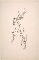 Leaf Forms #4, Norman Lewis, c.1954