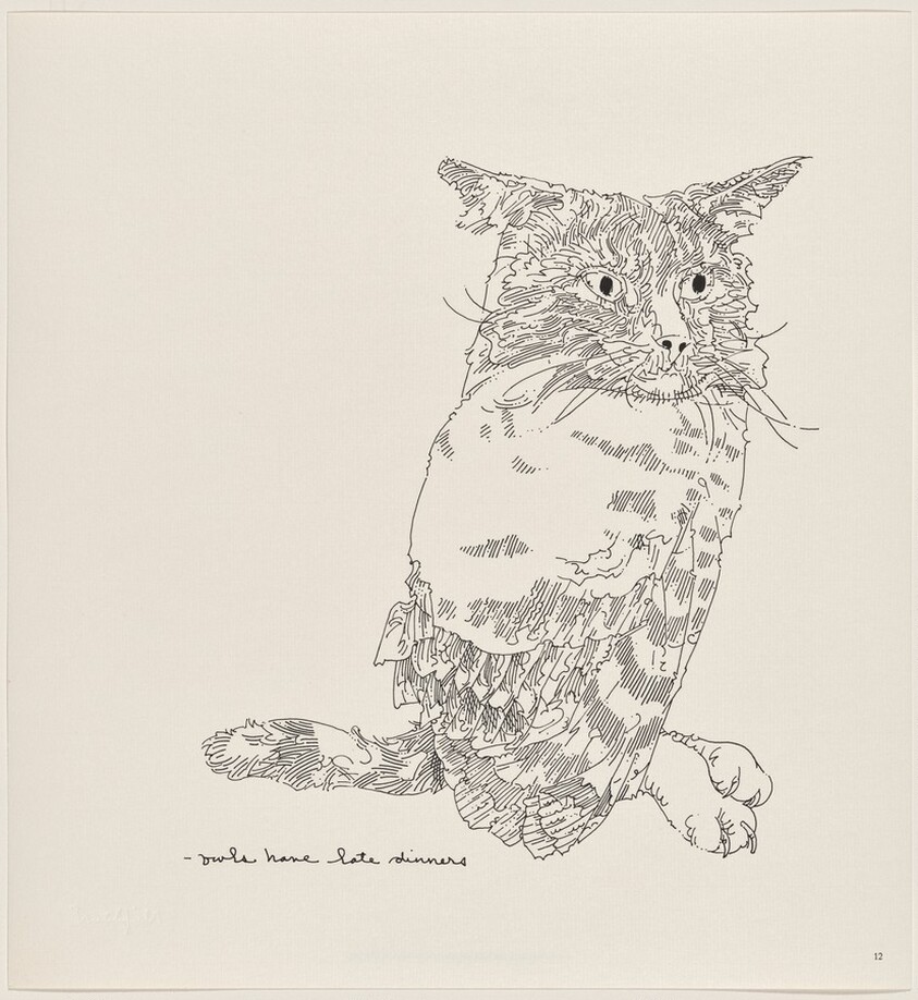 Owl Feathers: page 12