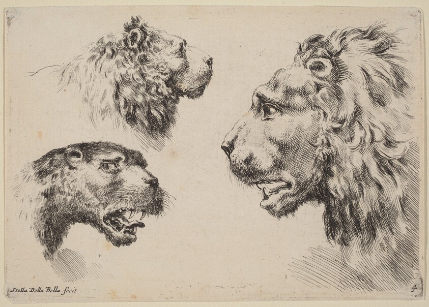 Three Lion Heads