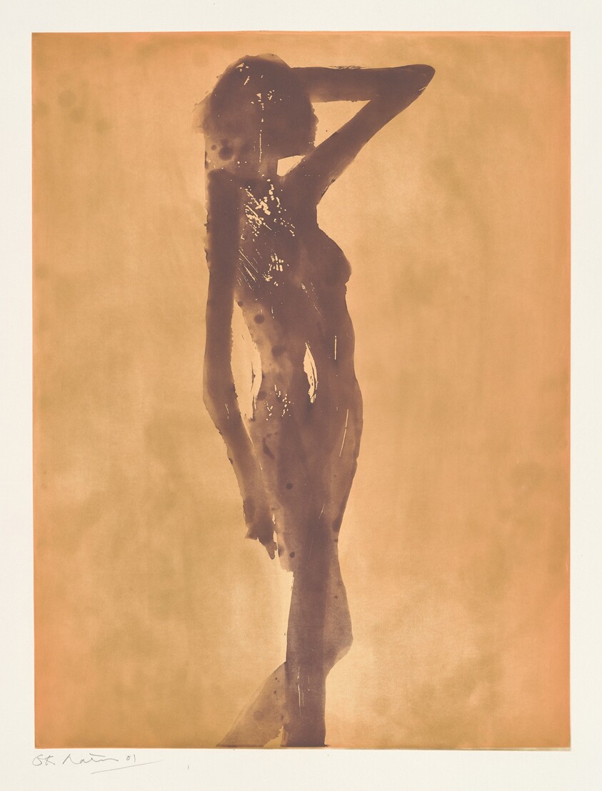 Copper Plate Nudes II (8)