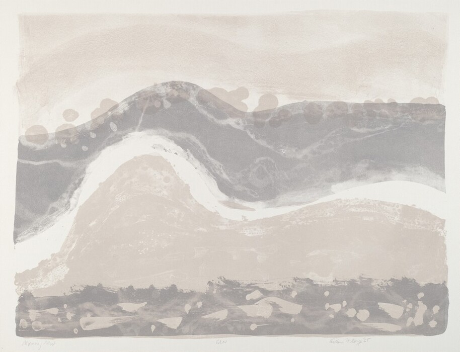 The image displays flowing, wavy shapes and lines that overlap and blend into one another, creating an abstract composition. The shapes resemble rolling hills or gentle waves, and the lines create a layered effect. Soft and muted tones of gray and beige dominate the scene. The abstract nature of the artwork invites the viewer to interpret the shapes in their own way.