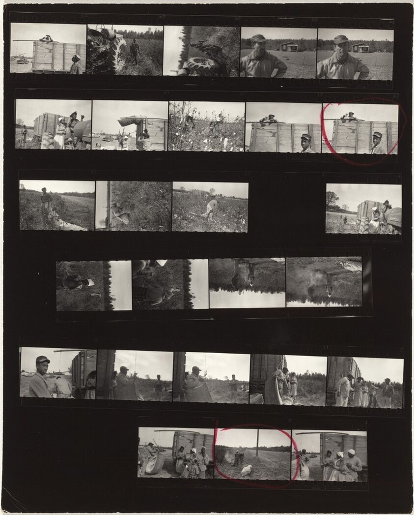 Guggenheim 312--Arkansas