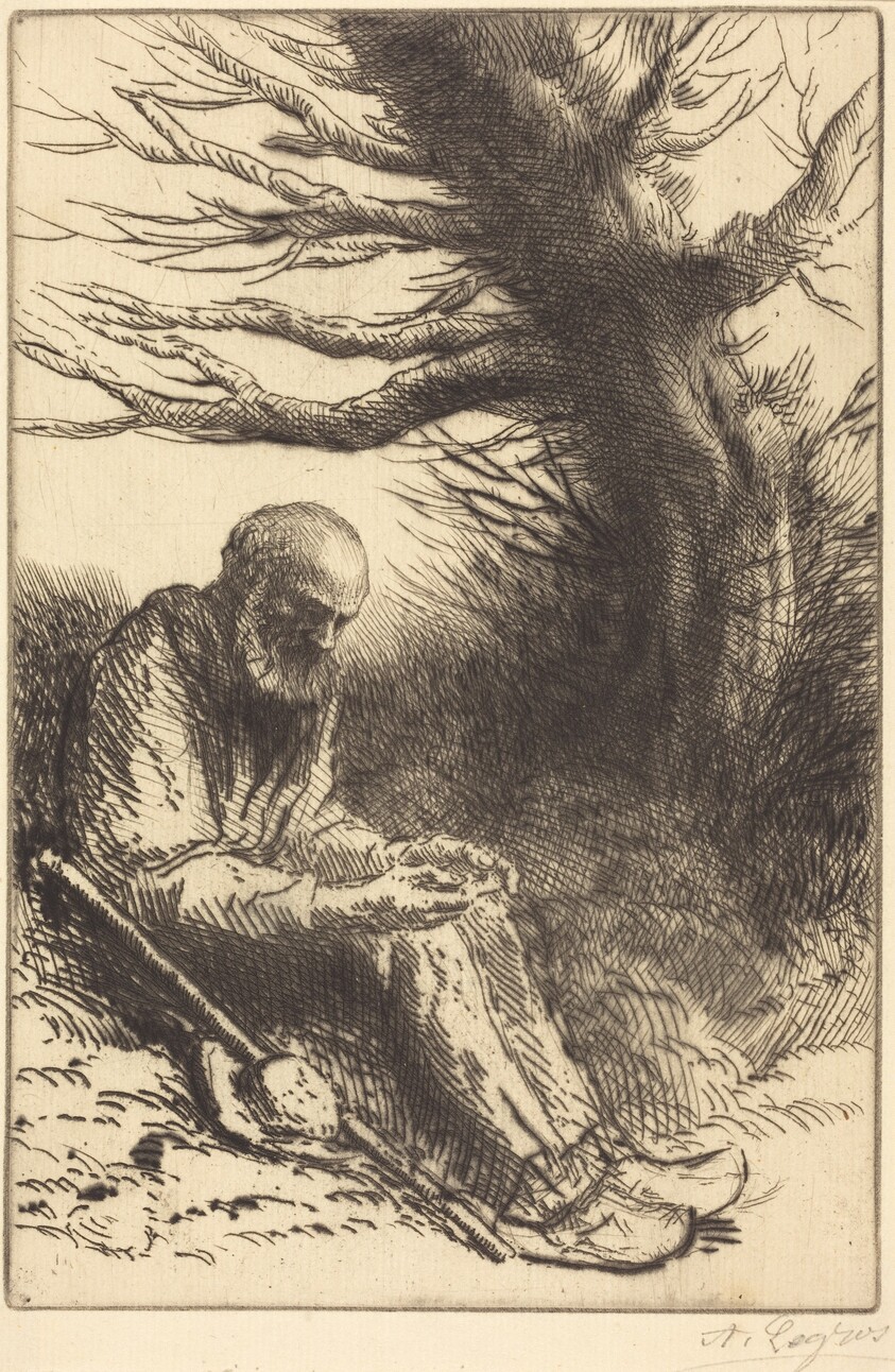 Old man, Old Tree (Vieil homme, vieil arbre)