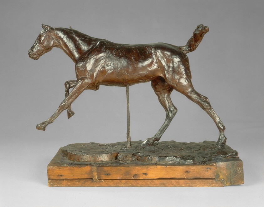 Horse Galloping on the Right Foot