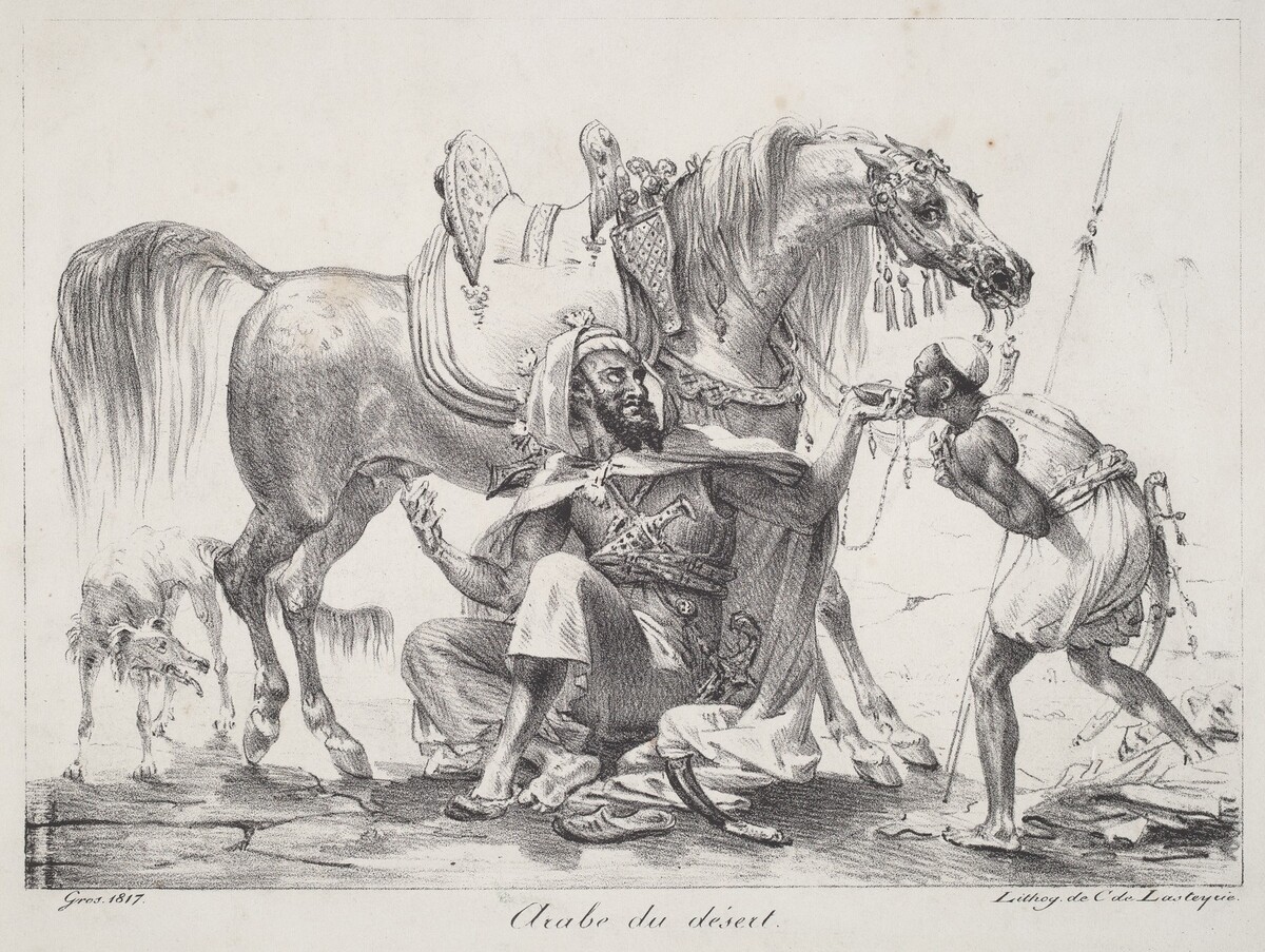 Arabe du désert (Desert Arab)