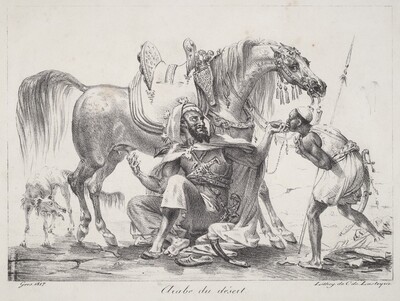 Arabe du désert (Desert Arab)