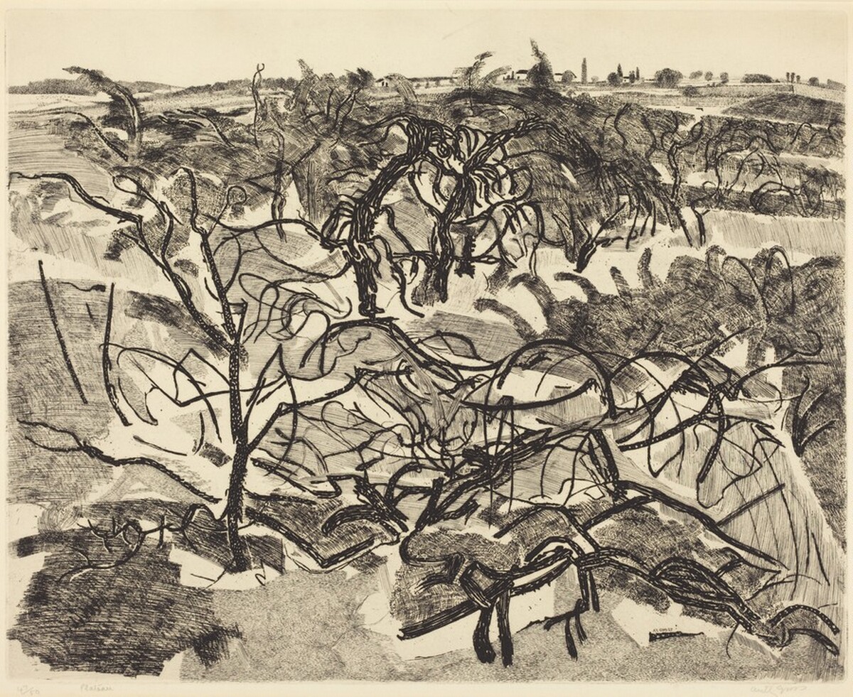 Plateau