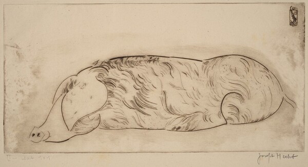 Hog (Cochon)