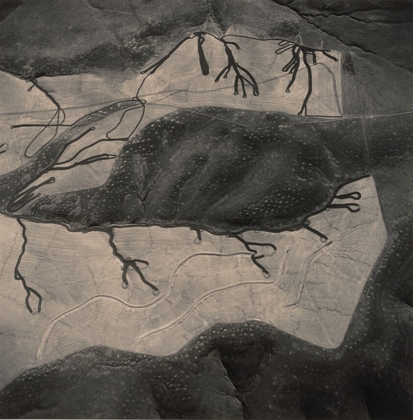 Natural Drainages Outlined by Cultivation, Dry Land Wheat Farming near Hermiston, Oregon