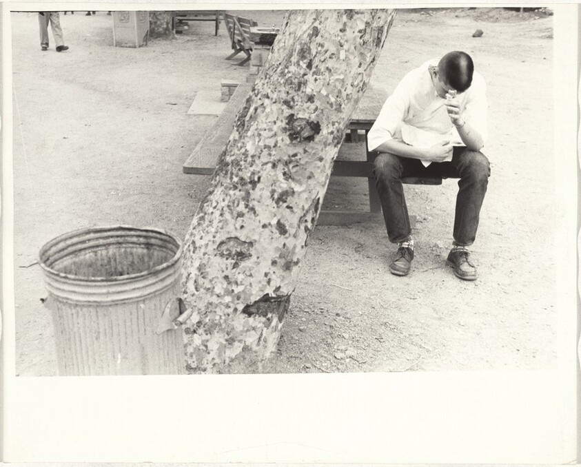 Young man at picnic table--Los Angeles