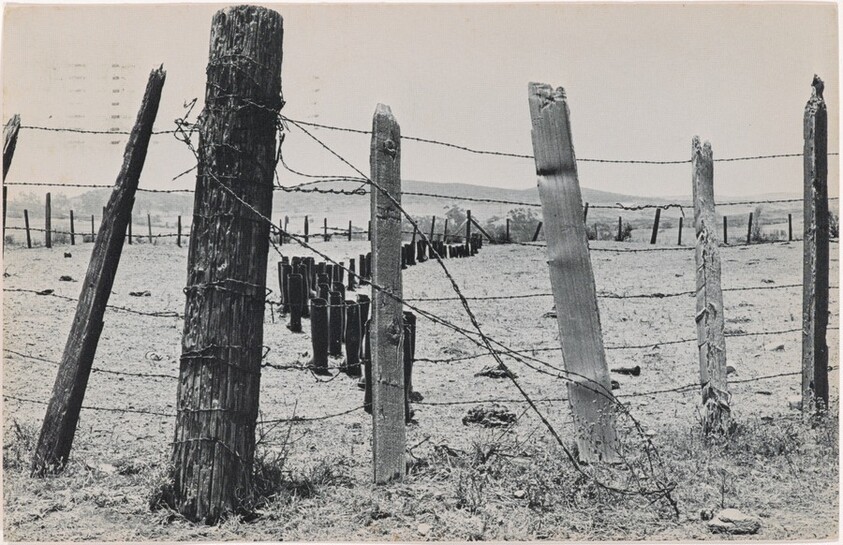 100 Boots at the Corral. Black Mountain, California. July 26, 1971, 12:00 p.m.