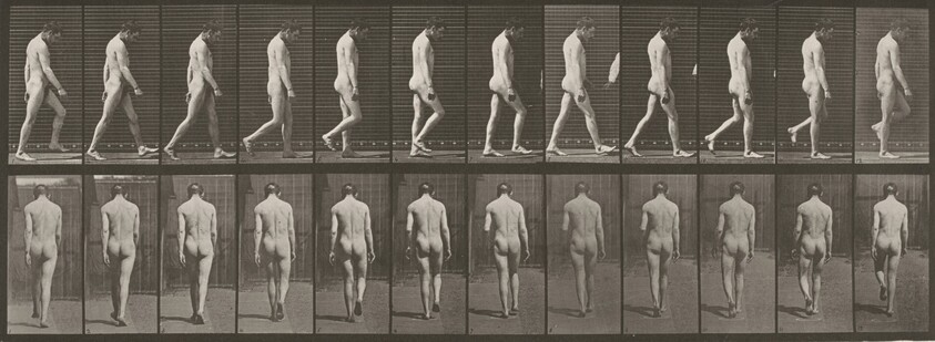 Plate Number 549. Locomotor ataxia, walking