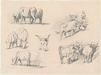 Studies of Cattle, John Singer Sargent, c. 1872