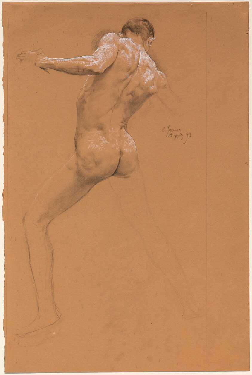 Standing Male Nude from Behind