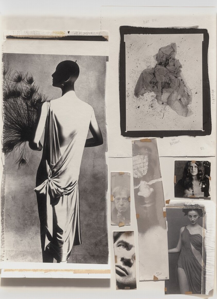 Platinum Test Materials 14/17