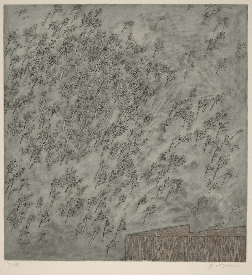 Brízy (Birch Trees)