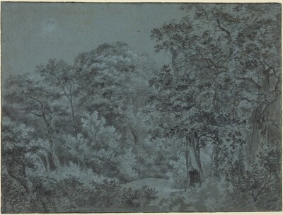 In the Hague Woods