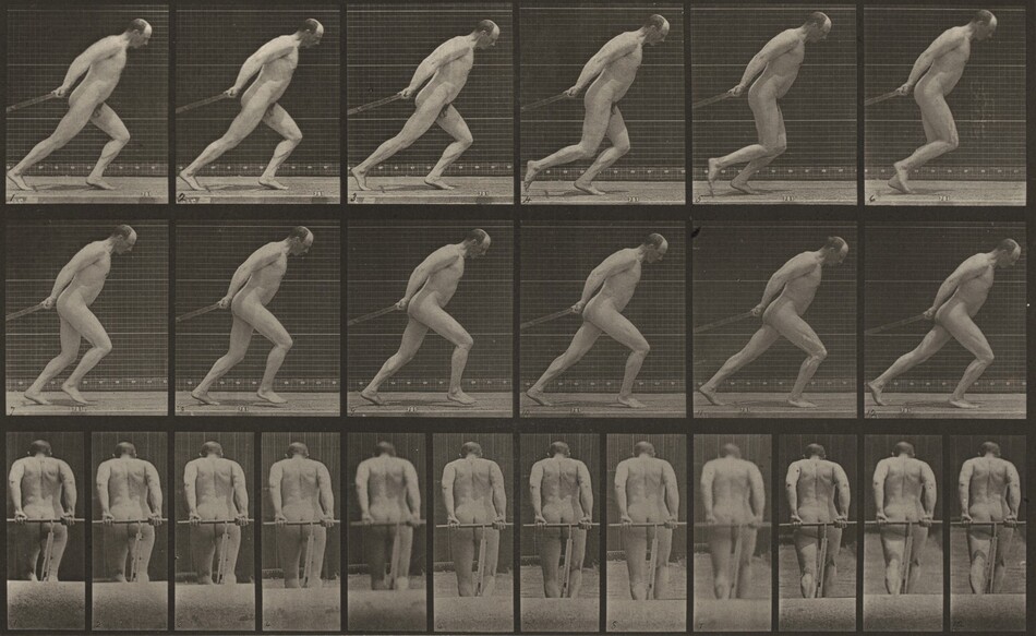 Plate Number 24. Walking with shoes on by Eadweard Muybridge