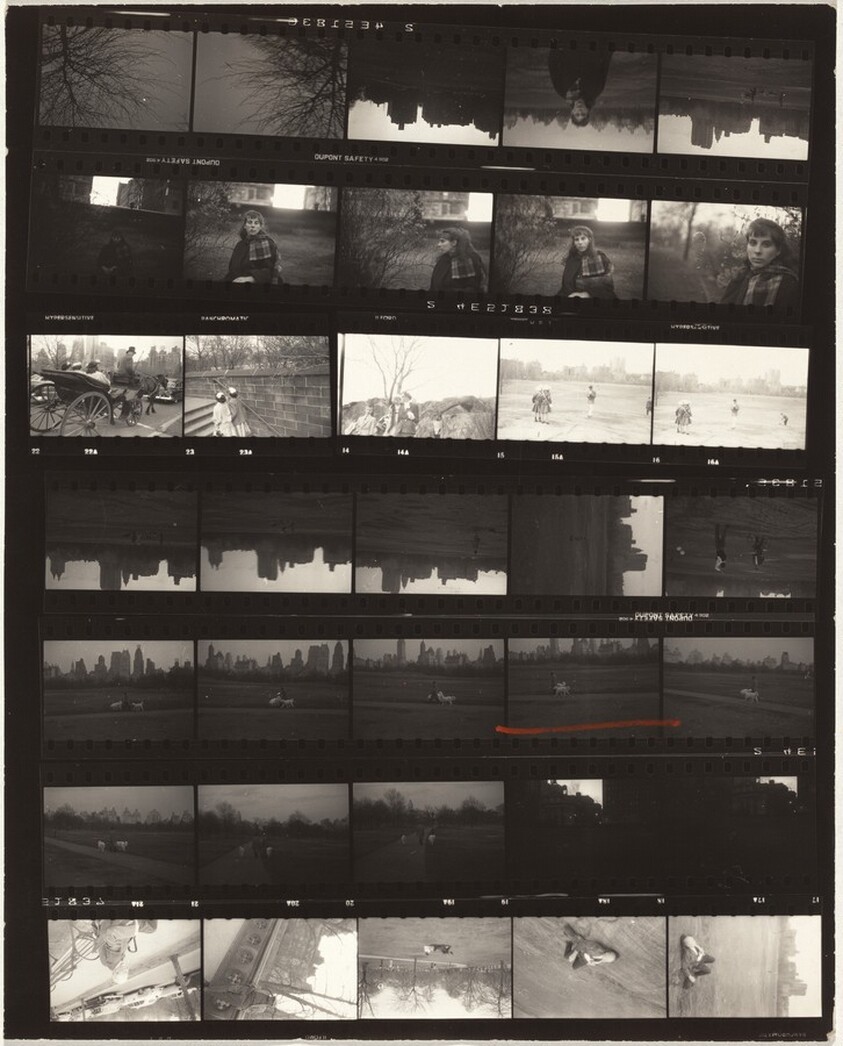 Mary in park--New York City no number