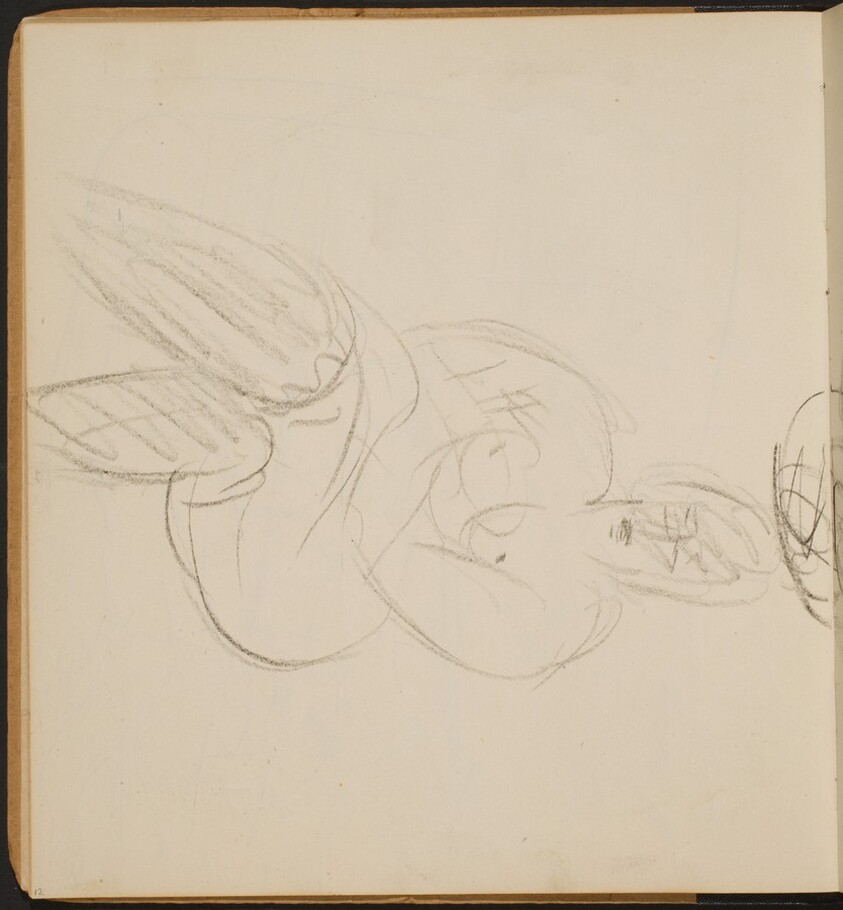 Weiblicher Akt in Strümpfen (Nude with Stockings) [p. 12]