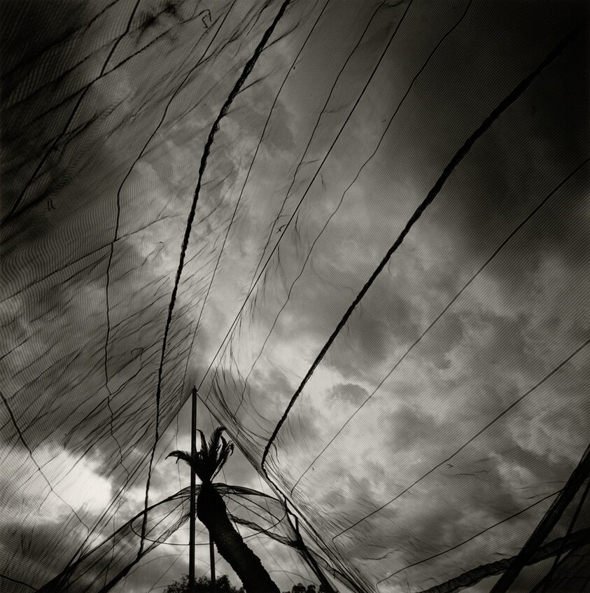 Jardín Botánico de Oaxaca, México (Oaxaca Botanical Garden, Mexico)