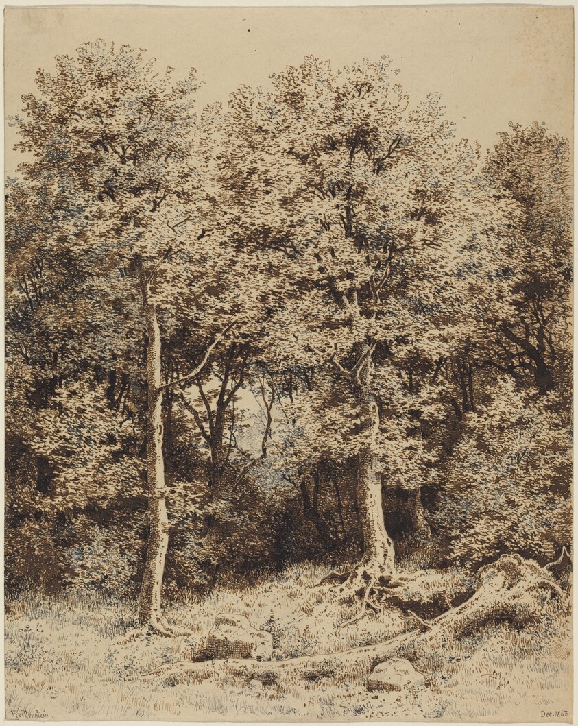 A Copse of Trees