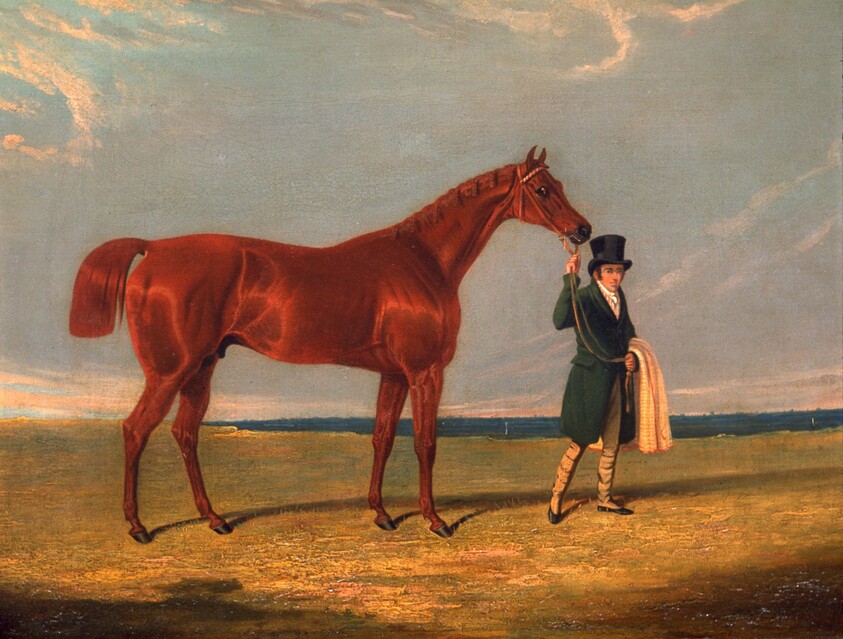 Race Horse and Trainer