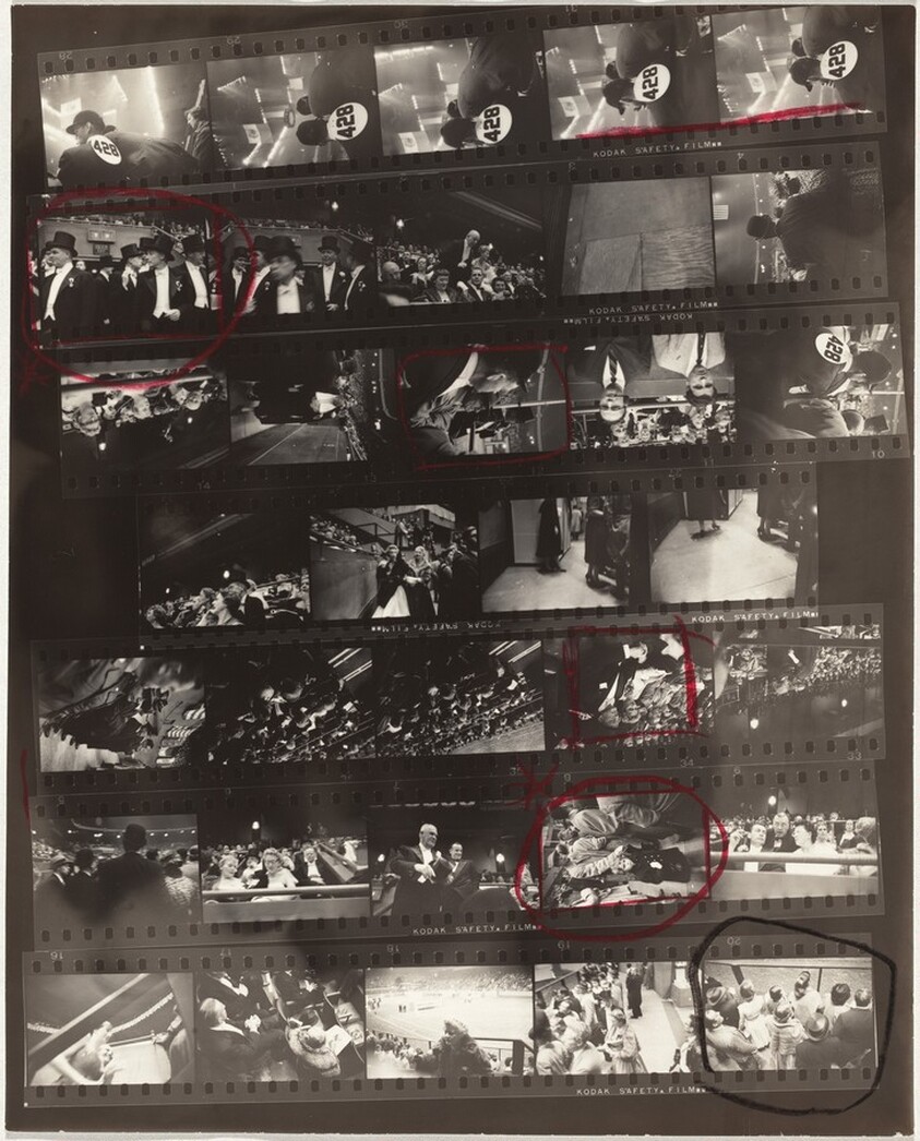 Horse show opening 8