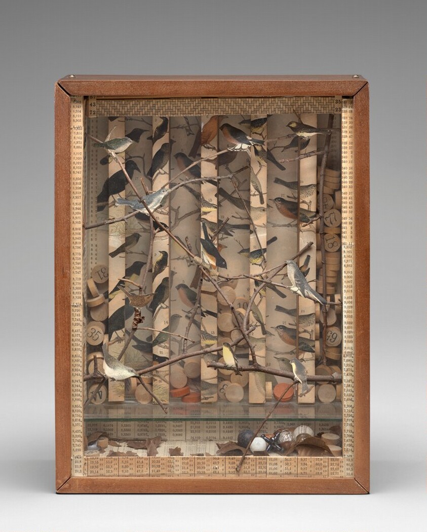 Untitled (Aviary with Multiple Birds)