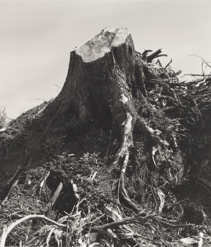 Clatsop County, Oregon