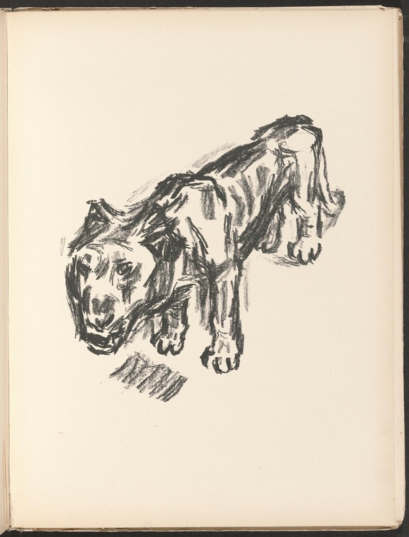 Löwe (Lion) from Deutsche Graphiker der Gegenwart (German Printmakers of Our Time)