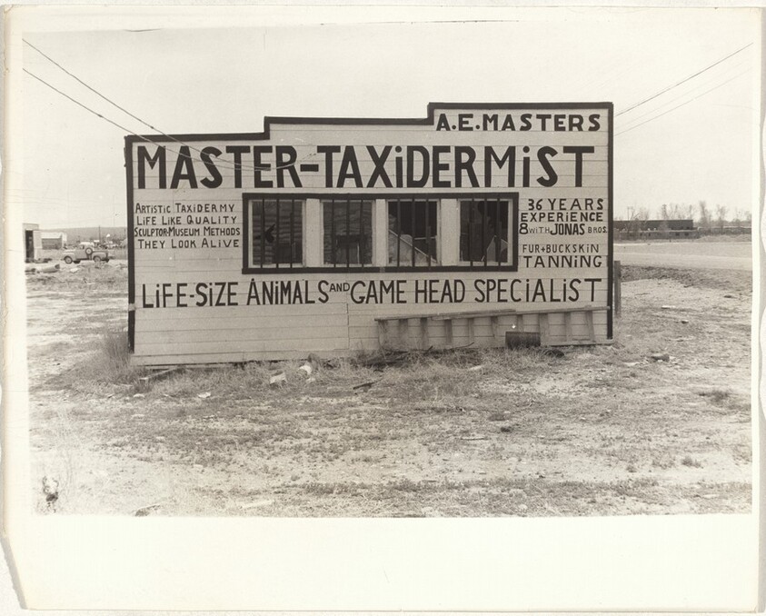 Master Taxidermist--Wyoming