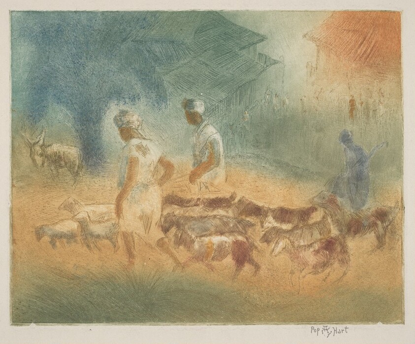 Bringing Goats to Market