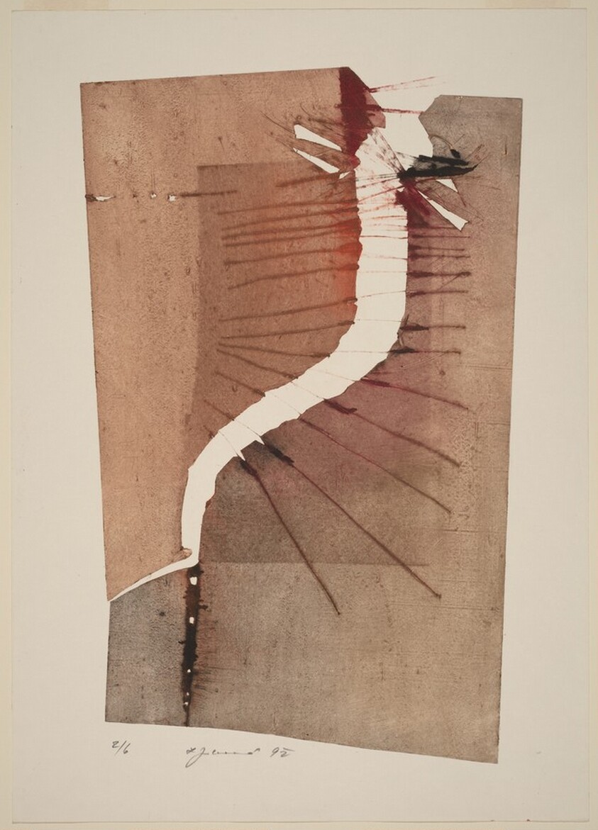 Nedovolené delení/Illicit Division