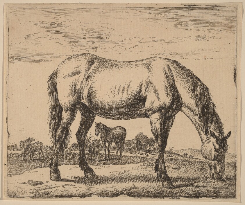 Grazing Horse