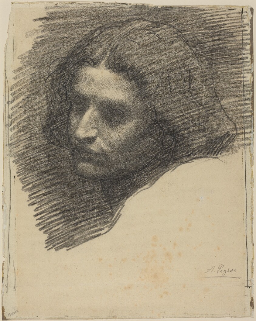 Head of a Man Facing Left [recto]