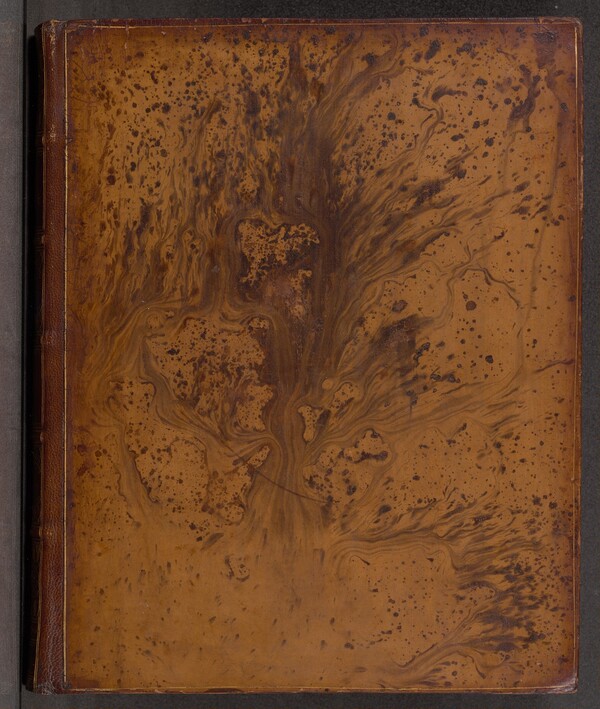 Vida y Hechos del Ingenioso Hidalgo Don Quixote de la Mancha (volume 3)